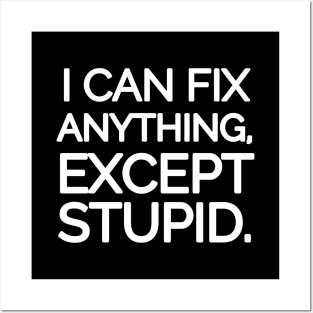 I can fix anything, except stupid. Posters and Art